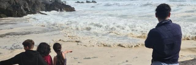 Catherine Martin banner