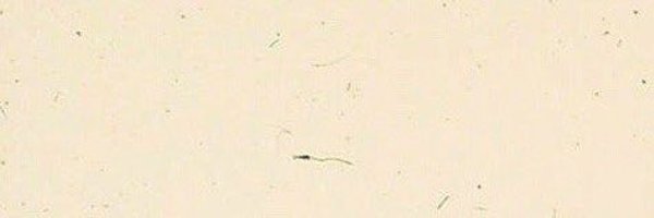 halfpastfive_ Profile Banner