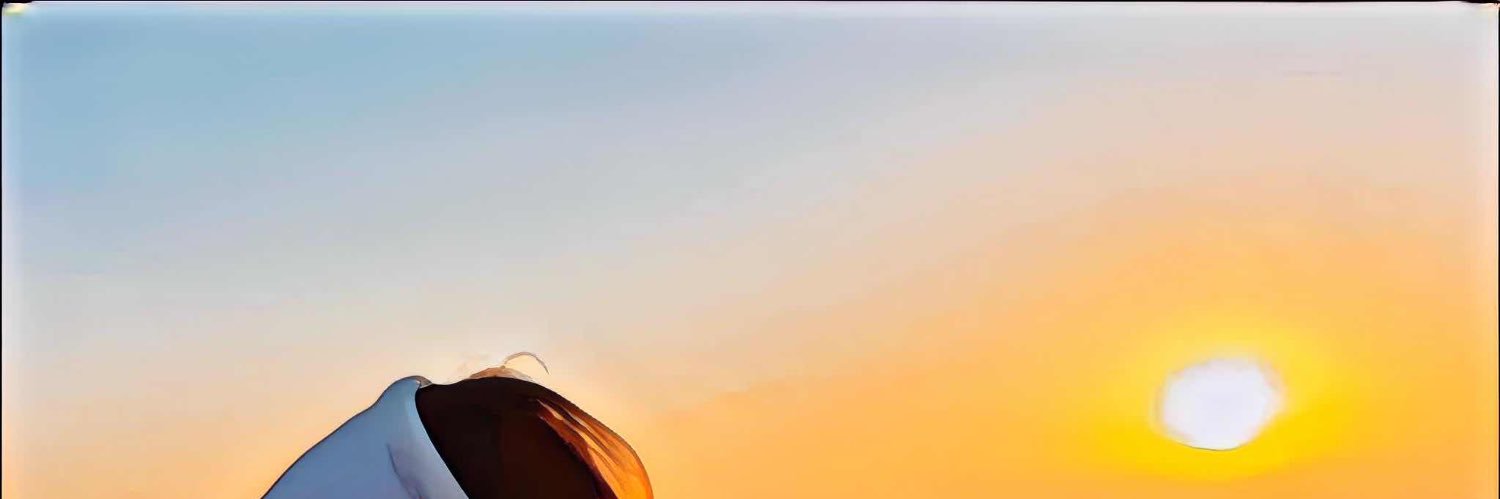 Noa @MTcapital banner