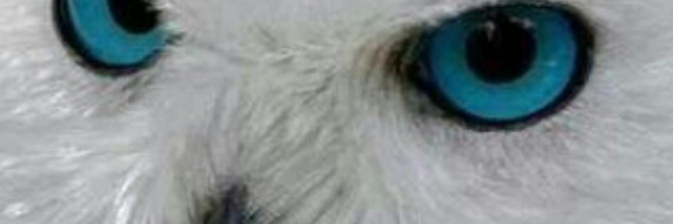 hacket75's profile banner image