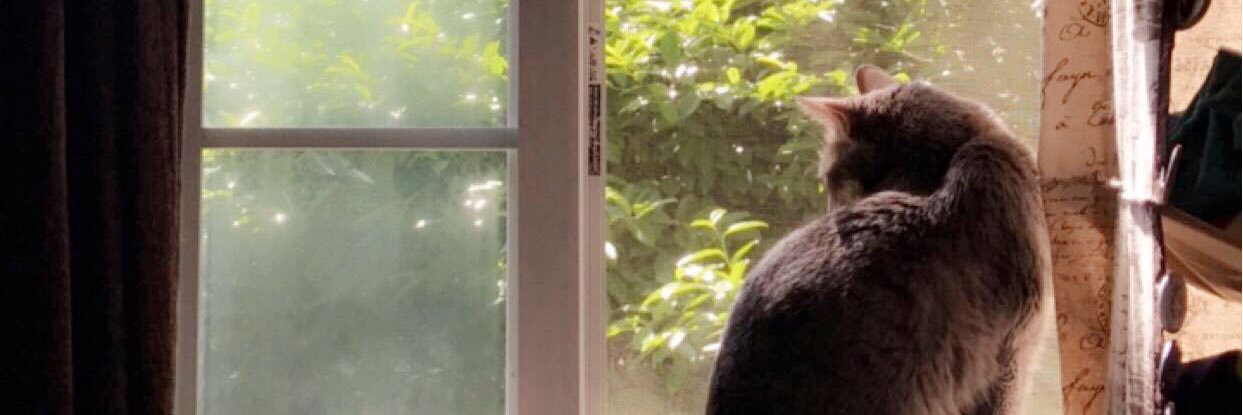 Milkinmypants's profile banner image