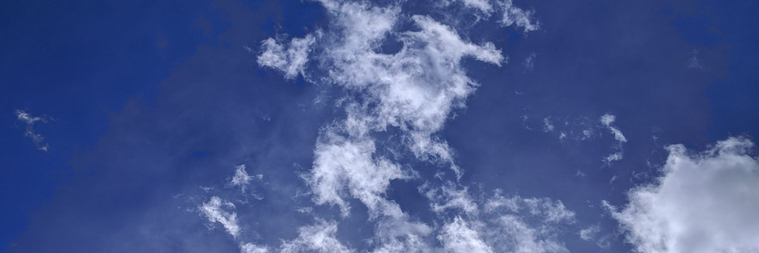 Garth Nichols banner