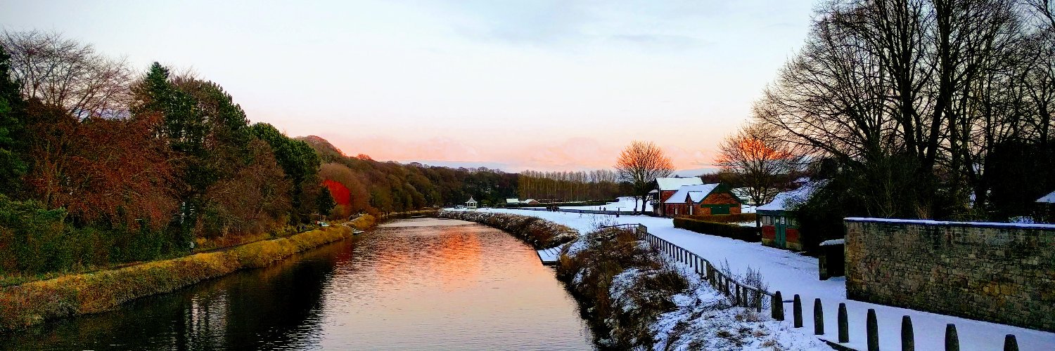 Orlagh Anderson banner