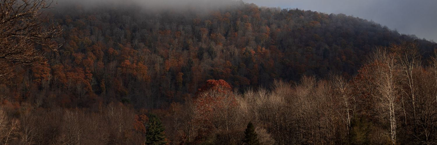 Coffee, Flower, And Loathing banner