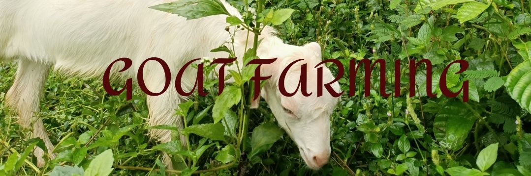 GOATFARMING1's profile banner image