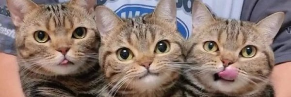 PeNguiN5CS Profile Banner