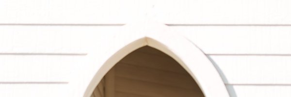 Zoe Miller Profile Banner