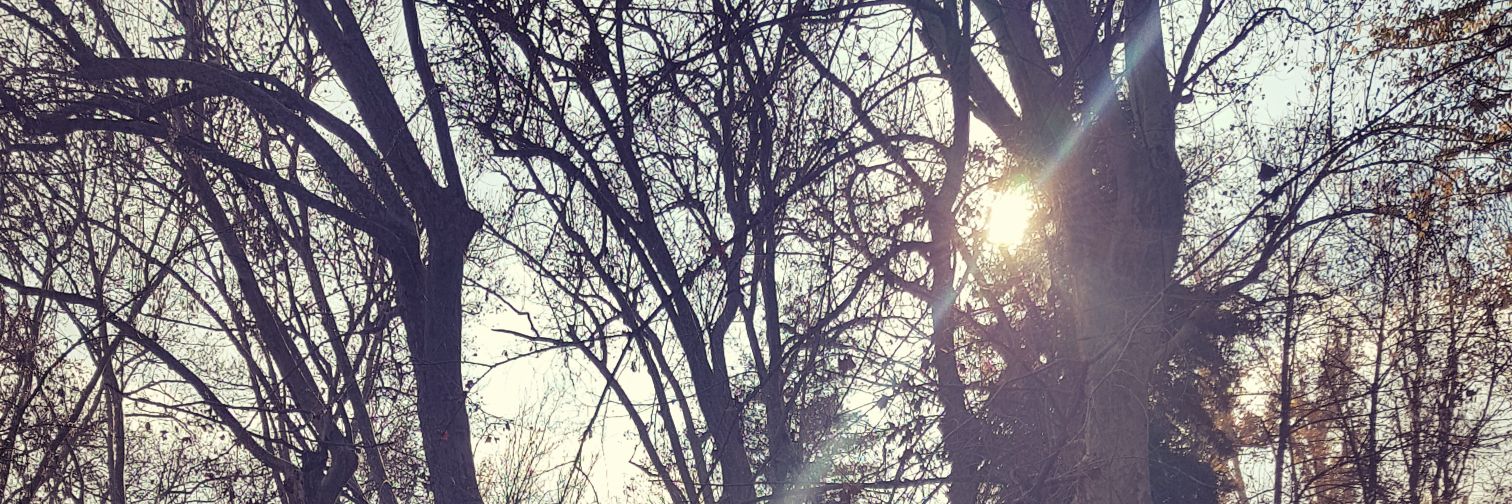 BalhasKassem's profile banner image