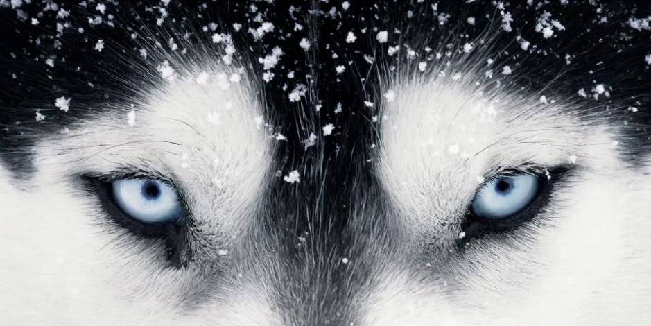 bear_1256's profile banner image