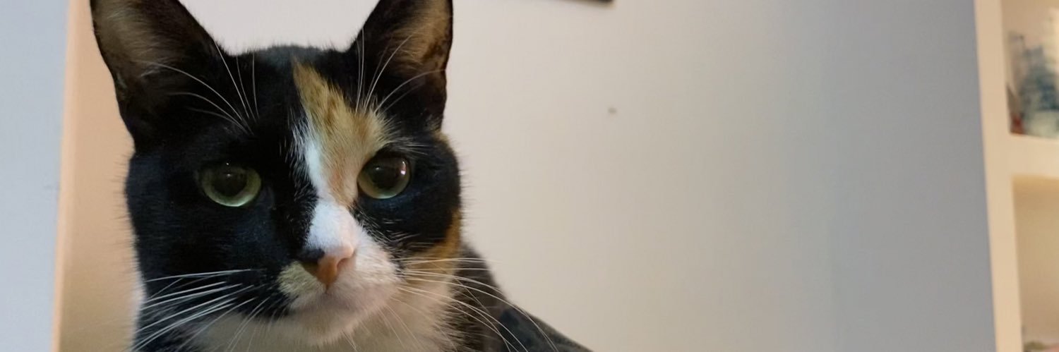 Meliiilu's profile banner image