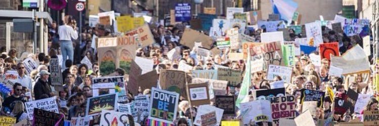 Dylan Hamilton MSYP/MYP banner