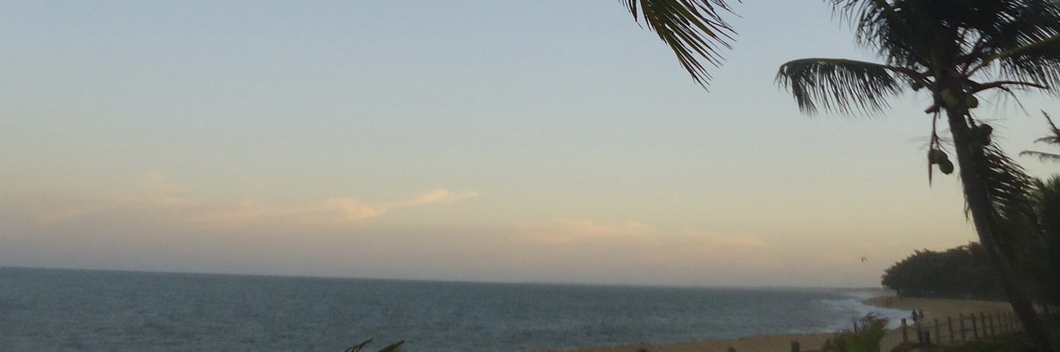 laurinhaprivs's profile banner image