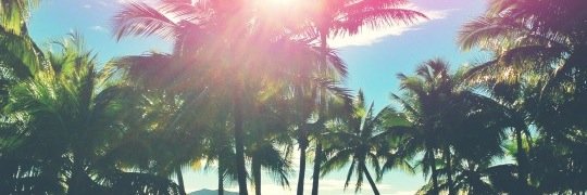 alpackdnb's profile banner image