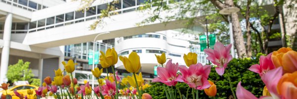 RushPalliative Profile Banner