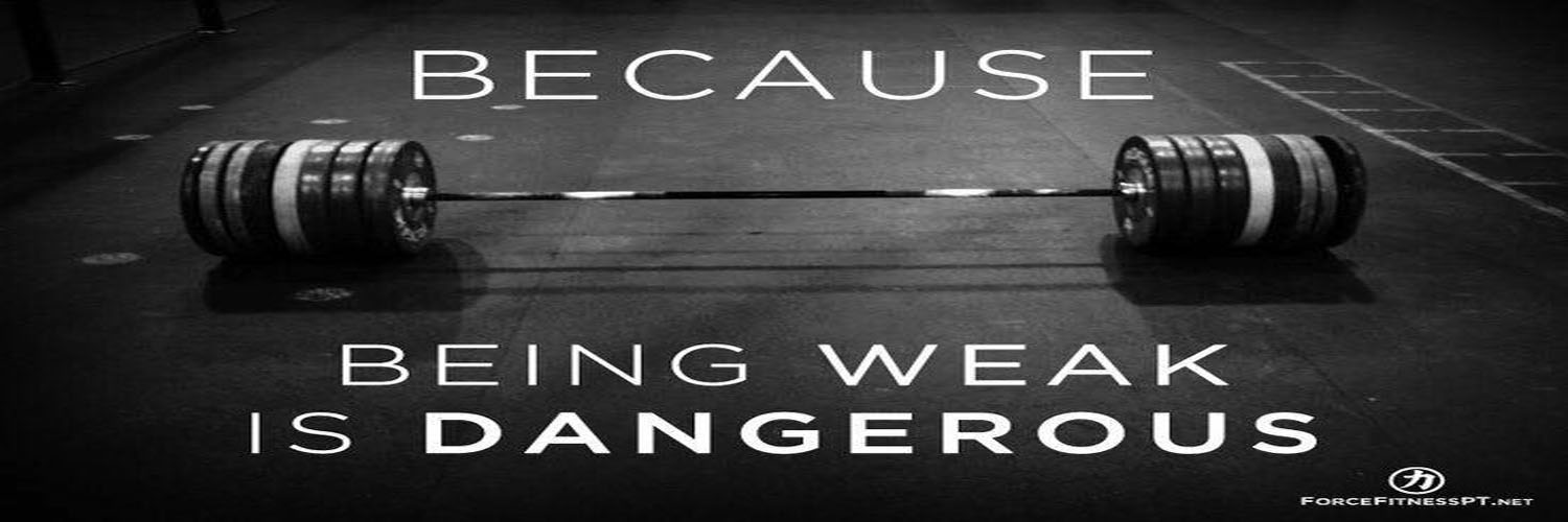 Dudeliftsheavystuff banner