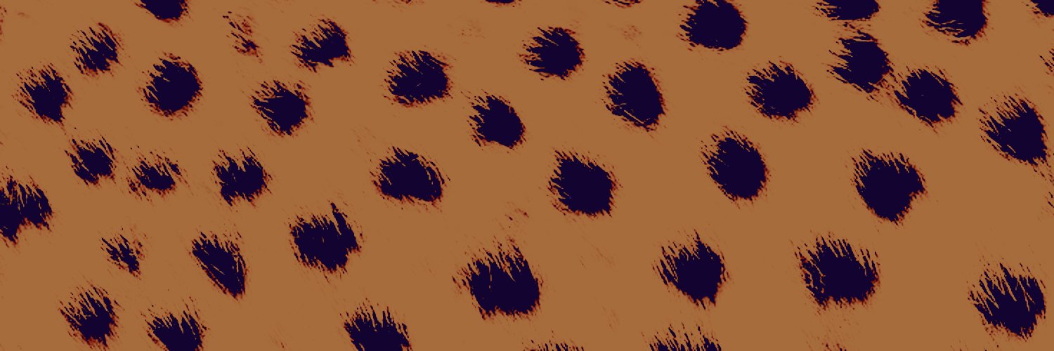 𝐶𝘩𝜀𝜀𝜏𝛼𝘩 banner