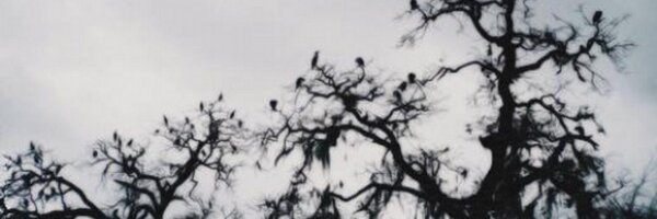 AmazingSwizzle Profile Banner