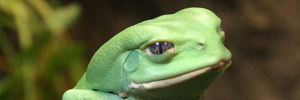 joelbreuklander Profile Banner