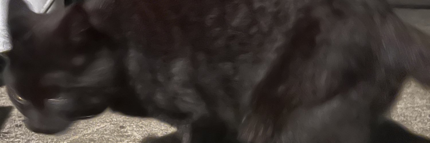 StarShroom banner