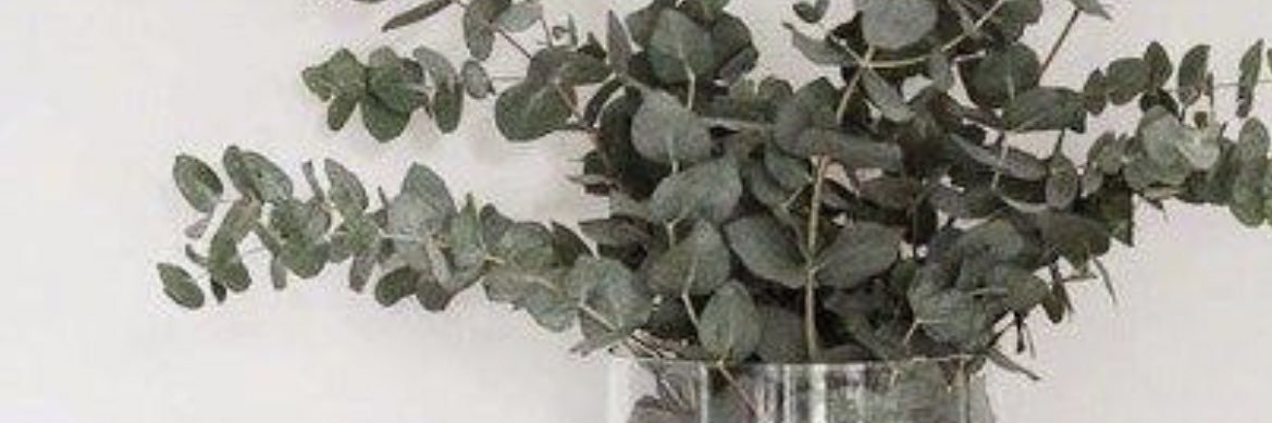 frhnrtkh's profile banner image