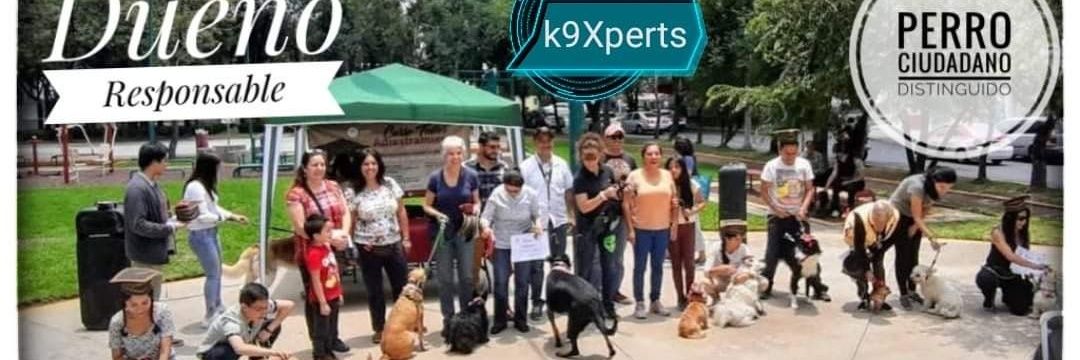 CarloCastroK9 banner