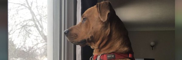 SirKnonch5 Profile Banner