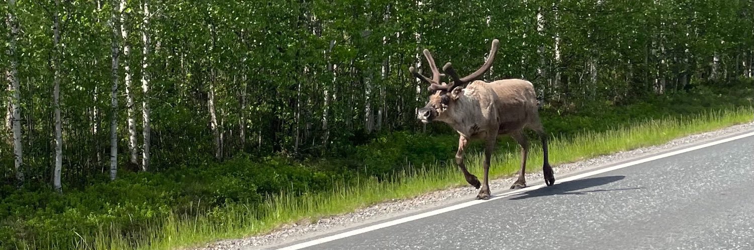 Floris 🛎️ banner