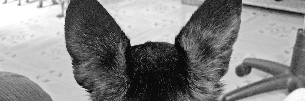 _paofernandez_'s profile banner image