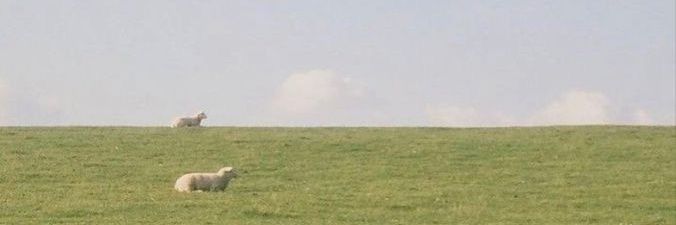 by131_'s profile banner image