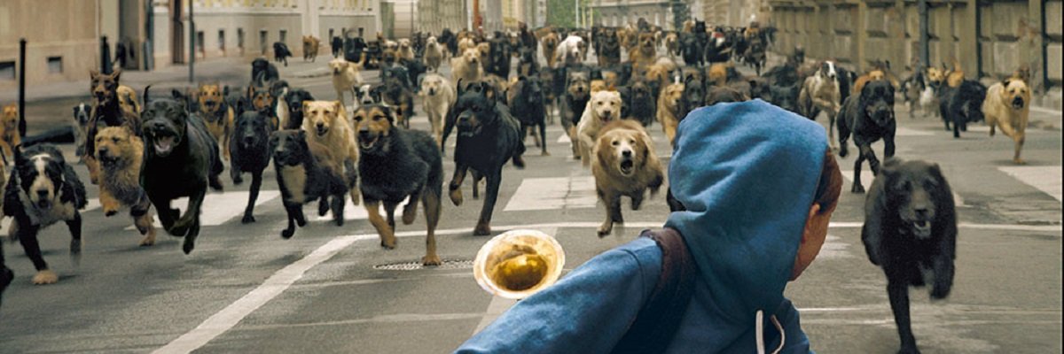 idilkarsit's profile banner image
