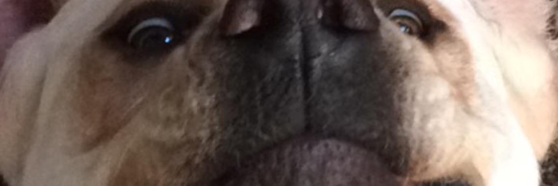 travisslapstiny's profile banner image