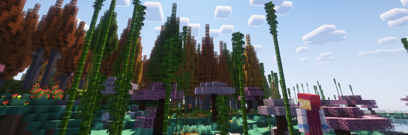 Rocky The Omega banner