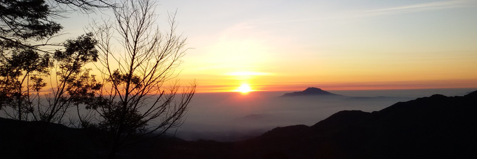 trianatejawati's profile banner image