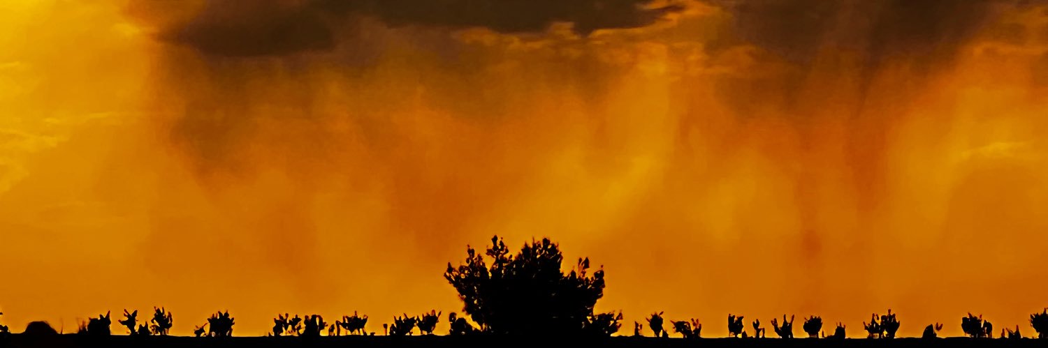 Böyle Düşünüyorum banner