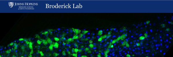 BroderickFlyLab Profile Banner