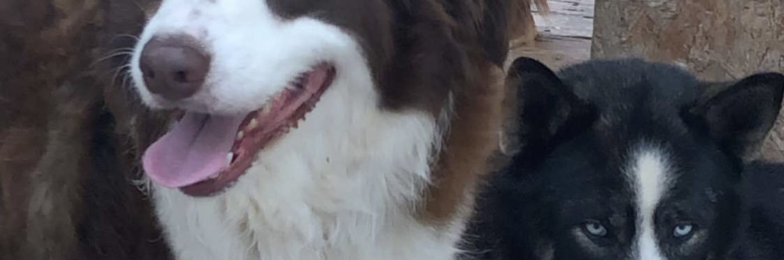 BalderasJorgeb's profile banner image