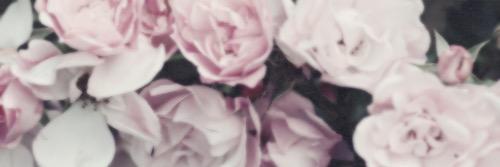 _sarahcurran's profile banner image