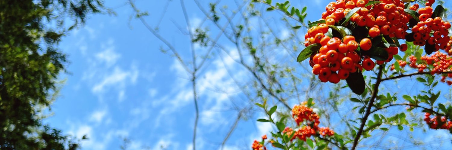 RIGHTERWRITER83's profile banner image