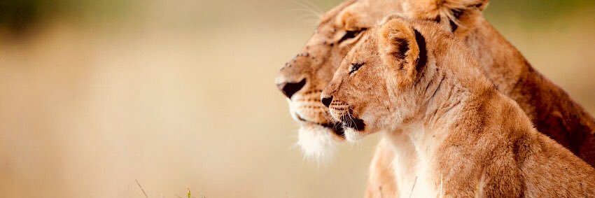 Whereinth3world's profile banner image