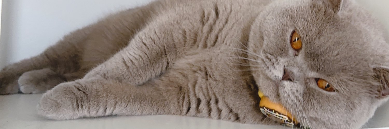 BuzzyCat banner