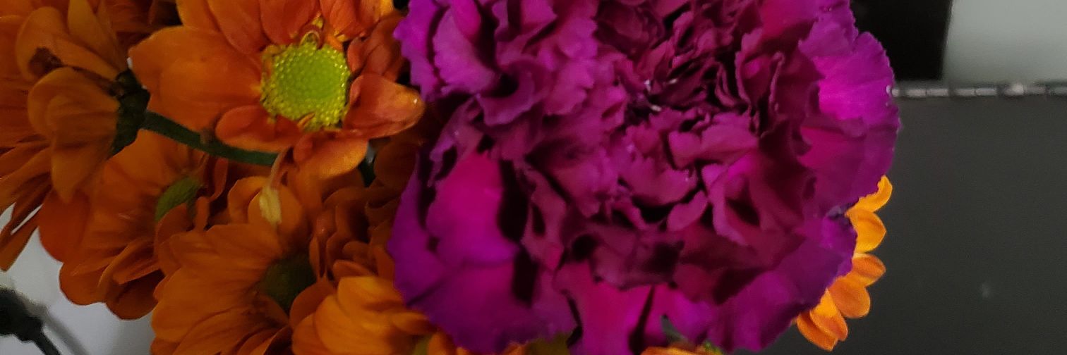 MiaJHenry's profile banner image