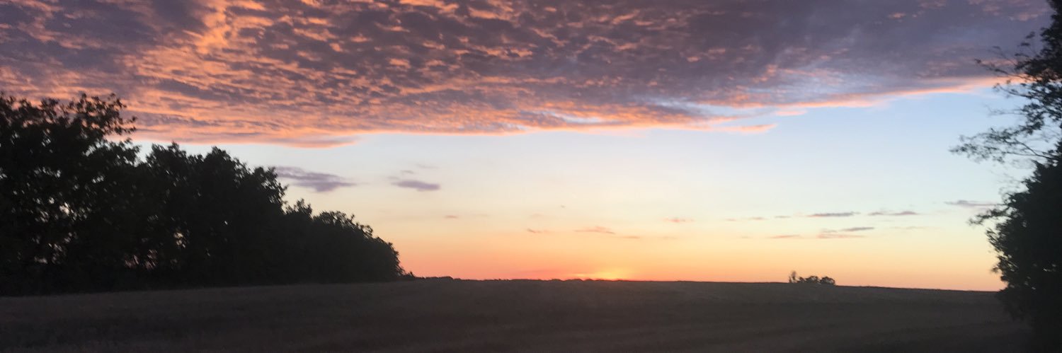 Joppedepraitere's profile banner image
