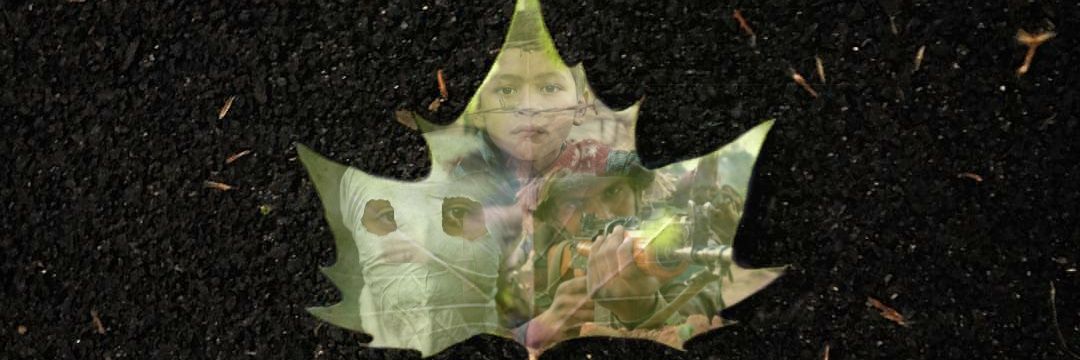 InPolitypress's profile banner image