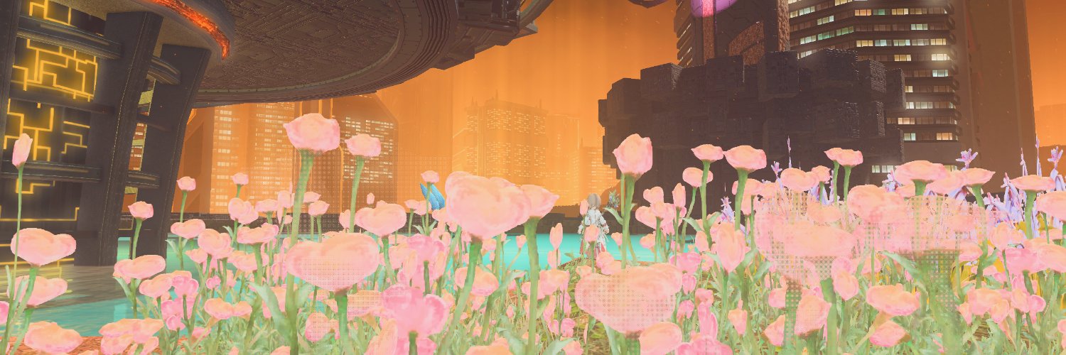 せりも banner