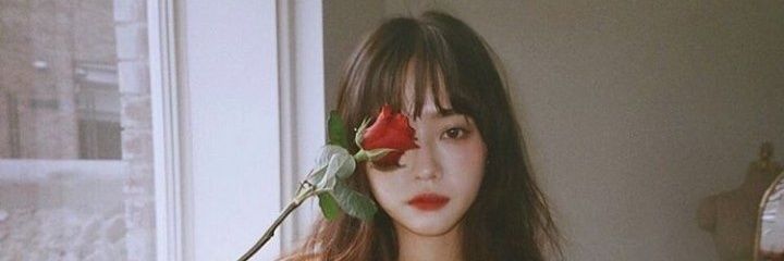 𝑨 𝑹 𝑰 𝑺 𝑻 𝑨 . banner