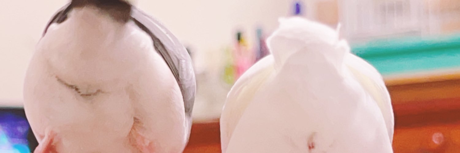 amn_nsznx02's profile banner image