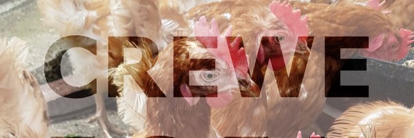 Crewe_FSFH Profile Banner