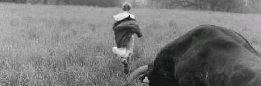 renewed romanticist‼️ banner