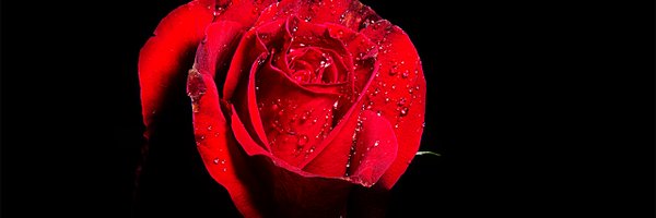 AaronShellina Profile Banner