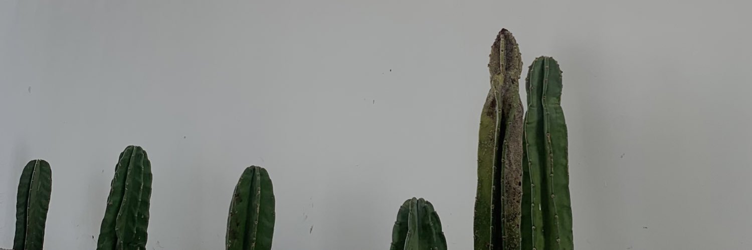 btafrmlnd's profile banner image